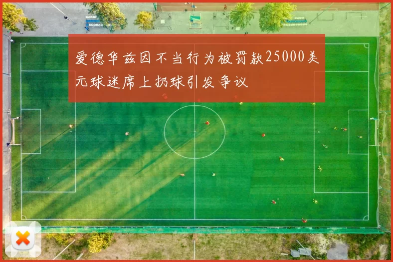 爱德华兹因不当行为被罚款25000美元球迷席上扔球引发争议