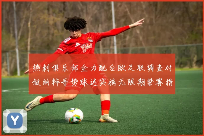 热刺俱乐部全力配合欧足联调查对做纳粹手势球迷实施无限期禁赛措施